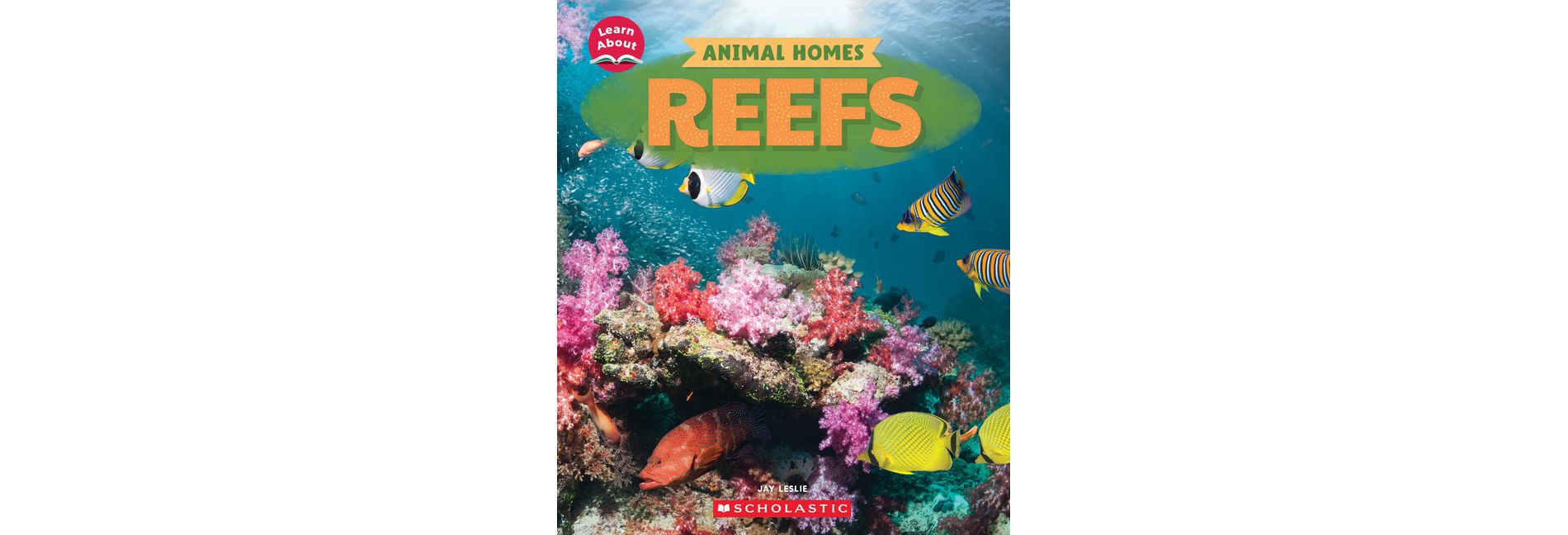 Reefs (Learn About: Animal Homes) - (Learn about) by  Jay Leslie (Hardcover)