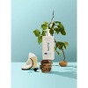 Native Sea Salt & Cedar 2-in-1 Shampoo and Conditioner - 16.5oz - image 3 of 4