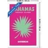 Trends International Reinders: Destinations - Destination Bahamas Framed Wall Poster Prints - 3 of 4
