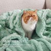 Bedsure- Cloud Soft PV Blanket ,Comfy Plush and Furry Faux Fur - 3 of 4