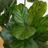 Nearly Natural 65-in Fiddle Leaf Tree UV Resistant (Indoor/Outdoor) - 3 of 4