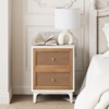 JIONJOY Distressed Rattan Nightstand - Fully Assembled 2-Drawer Boho Bedside Table with Brass Knobs & Woven Cane Fronts - 2 of 4