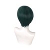 Unique Bargains Women's Wigs 12" Dark Green with Wig Cap - 3 of 4