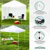 Caravan Canopy V-Series 10 x 10 Feet 2 Straight Leg Sidewall Kit & Sports V-Series 2 10 x 10 Feet Straight Pop-Up Leg Tent for Recreational Use - 2 of 4
