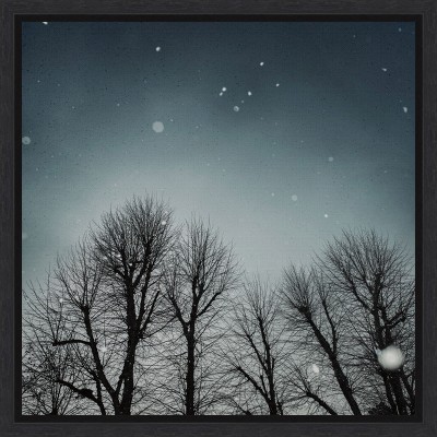 Amanti Art Winter Sky (Tree line) by Andre Eichman Canvas Wall Art Print Framed 16 x 16-in.
