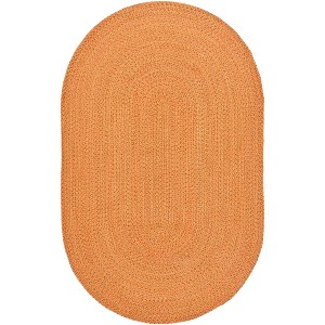 Braided BRD166 Hand Woven Rug - Safavieh - 1 of 4