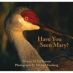 Have You Seen Mary? - by  Jeff Kurrus (Paperback) - 1 of 1