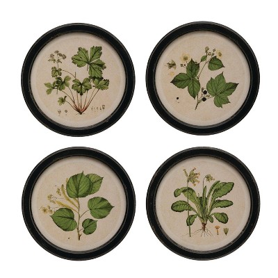 Set of 4 Vintage Botanical Print Wood Framed Wall Art