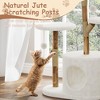 CuisinSmart 43" Modern Natural Wood Cat Tree for Cats Aesthetic Cat Tower with Large Basket, Scratching Posts and Real Branch Design - 4 of 4