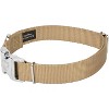 Country Brook Petz Premium Nylon Dog Collar with Metal Buckle for Small Medium Large Breeds - Vibrant 30+ Color Selection - 3 of 4