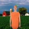 Orion Costumes Carrot Adult Costume One Size Fits Most - 4 of 4