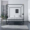 Celeste Canopy Metal Bed -  Cosmoliving By Cosmopolitan  - image 2 of 4