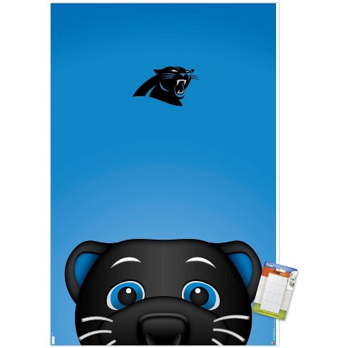 : Carolina Panthers Official 30 inch Large Pennant