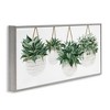Stupell Industries Hanging Planters House Plants, 24" x 10" - 3 of 4