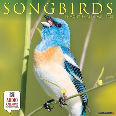 2022 Wall Calendar Songbirds - Willow Creek Press
