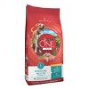 Purina ONE SmartBlend Natural Digestive & Probiotic Health Rice and Chicken Flavor Dry Dog Food - image 3 of 4