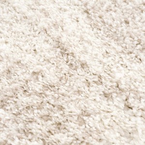 Hauteloom Trunding Plush Rug - 1 of 4