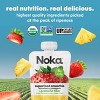 NOKA Superfood Smoothie Fruit Strawberry Pineapple Single Pouch - 4.22oz - 4 of 4