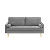 TiramisuBest 65" Velvet Sofa, Plush Upholstered Couch for Living Room or Bedroom (Grey) - 4 of 4