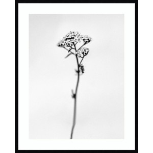 33" x 41" Amid The Flowers 47 by Teis Albers: Giclee Botanical Art, Vertical Layout - Amanti Art - 1 of 4