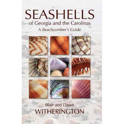 Seashells of Georgia and the Carolinas - by  Blair Witherington & Dawn Witherington (Paperback)