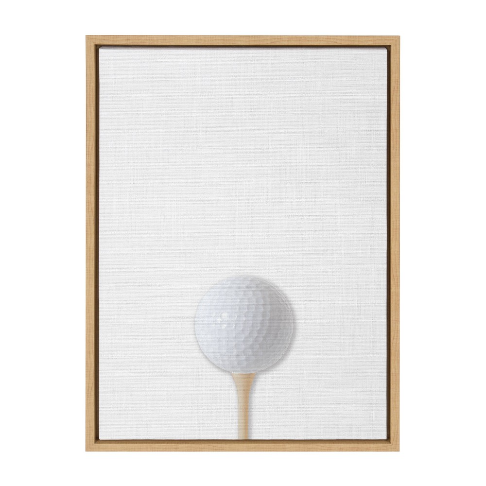 Photos - Other Decoration 18" x 24" Sylvie Color Golf Ball Portrait Framed Canvas Natural - DesignOvation: Sports Wall Art, Horizontal Layout