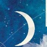 clear push pins bundle