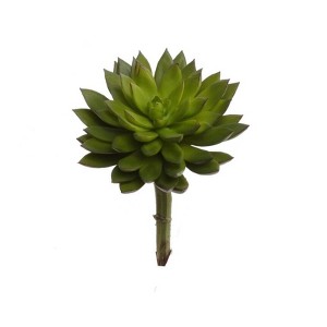 Floral Home 8" Green Succulent Lifelike Pick - 6-Piece - 1 of 2