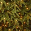 National Tree Company 7.5' PreLit Feel Real Northern Fraser Hinged Tree with 800 Clear Lights 3011 Tips - 3 of 3