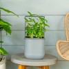 Vego Garden Self-Watering Mini Rectangular Indoor Outdoor Planter Pot with Trellis 7"x7"x14" - 2 of 4