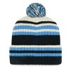 NFL Carolina Panthers Streak Knit Beanie - image 2 of 2