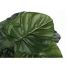 Syemin Artificial Plant Alocasia Indoor Faux Fake Table Greenery Potted Real Touch Decorative Green Leaves Black Pot, Green, 20"*20"*23.5" - 4 of 4