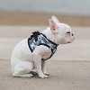 Doggie Design American River Dog Harness Camouflage Collection-Gray - 3 of 4