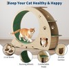 Cat Exercise Wheel for Indoor Cats - 48" Large Cat Running Wheel with 3-Level Jumping Tower, Quiet Spinner Hamster Wheel - 2 of 4