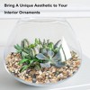 GASPRO 5 Pound Pebbles for Indoor Plants, 3/8 Inch Decorative Rocks for Vase, Succulents, Highly Polished, Mixed Color - 3 of 4