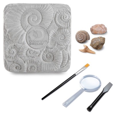 fossil kit toy