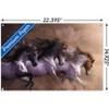 Trends International Laurie Prindle - Run To Freedom Unframed Wall Poster Prints - 3 of 4