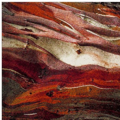 red/multi