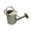 Gardener Select Antique Galvanized Watering Can, Copper, 0.92 Gallon - 2 of 2