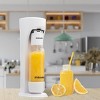 Drinkmate Sparkle Up Bundle  OmniFizz Soda Maker with Lemonade Syrup - 2 of 4