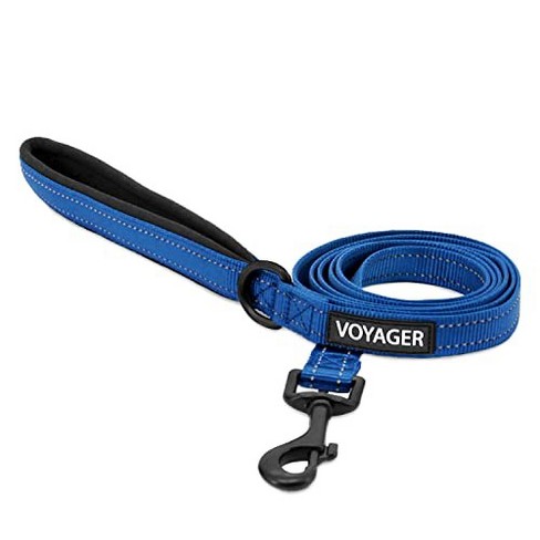 Voyager Reflective Dog & Cat Nylon Leash for All Breeds, Royal Blue, M  (3/4 x 5ft)