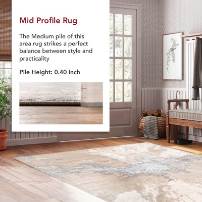 Beige and Gray Recycled Abstract Indoor Area Rug, 3' x 5'