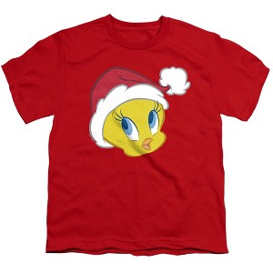 Boys' Looney Tunes Tweety Pie Santa Hat T-Shirt - 1 of 4