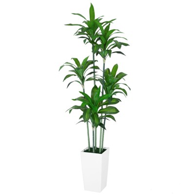 6FT Dracaena Draco Artificial Dragon Tree Realistic Dracaena Fragrans Faux Tree with White Pot for Home Office Indoor Outdoor Decor