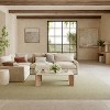 Nourison Textured Home Modern Indoor Rug - 2 of 4