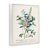Stupell Industries Flowers And Leaves Vintage Design Framed Giclee Art - 2 of 4