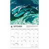 BrownTrout 2025 Wall Calendar 12"x14" Dolphins WWF - image 4 of 4