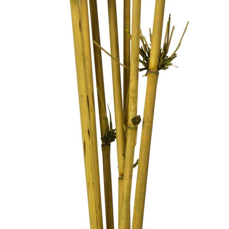 Vickerman 36-40" Star Bamboo Reed Stem, Dried, 3 of 5
