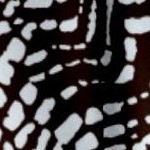 chocolate animal print