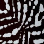 chocolate animal print